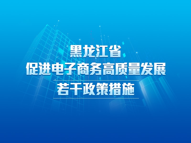 【图解】一图读懂《黑龙江省促进电子商务高质量发展若干政策措施》