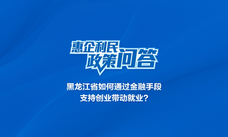 黑龙江省如何通过金融手段支持创业带动就业？