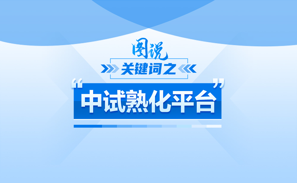 关于“中试熟化平台”，政策点读带你了解！