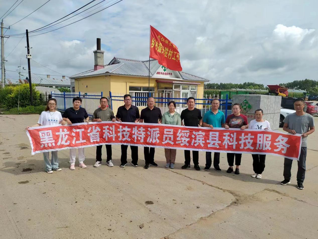 技术支农 助力农户发展肉牛庭院养殖—驻绥滨县长发村工作队推进乡村振兴